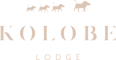 Kolobe Lodge